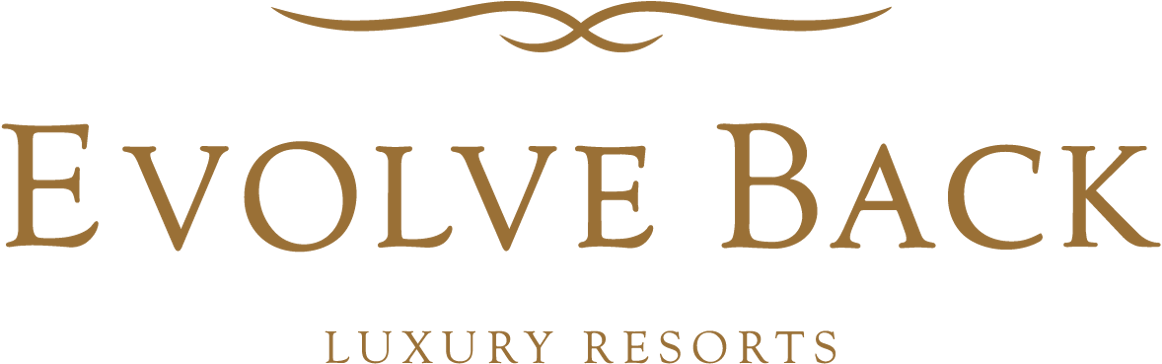 EVOLVE BACK Logo